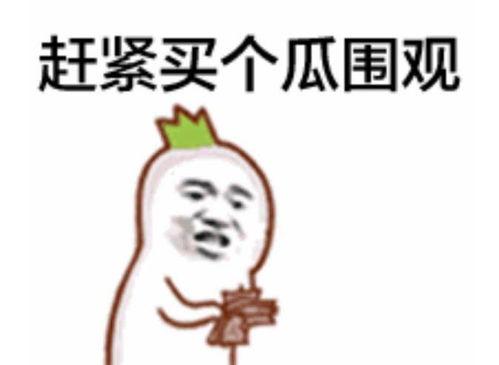 吃瓜群众投诉律师有用吗,维权之路是否可行？