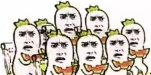 干支纪年型吃瓜群众,揭秘吃瓜群众的趣味时光