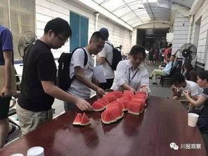 固始吃瓜群众图片高清,捕捉生活百态