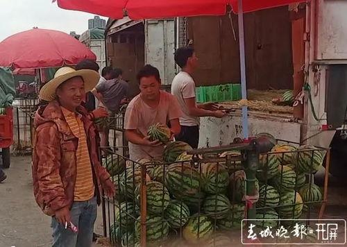 吃瓜群众跳水视频大全集,惊险瞬间！吃瓜群众跳水视频大全集回顾