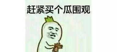 做吃瓜群众说说,吃瓜群众视角下的明星幕后故事