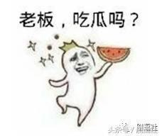 吃瓜群众和最强大脑,揭秘智力竞技背后的故事