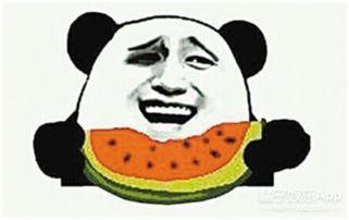 小蘑菇是个吃瓜群众,吃瓜群众的视角看世界