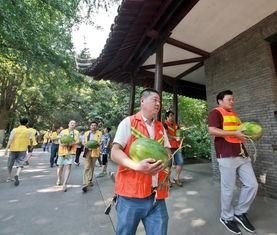 沅陵吃瓜群众是谁,网络热议背后的真实故事