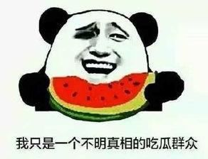 吃瓜群众的发言视频,揭秘视频背后的热点事件