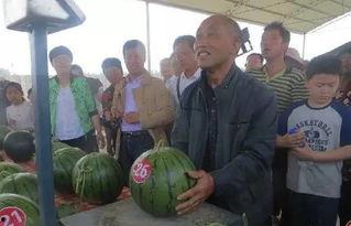 邹城兖州吃瓜群众,吃瓜群众的热议焦点