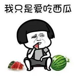 吃瓜群众 瓜圈,网络舆论场中的趣味与争议