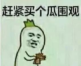 重案六组吃瓜群众话亮了,吃瓜群众话亮了，揭秘案件背后的真相与笑料