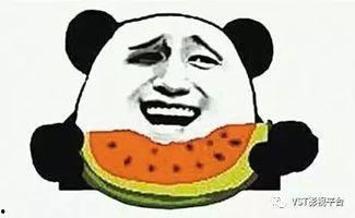 穿成书中吃瓜群众,见证一场场精彩纷呈的剧情盛宴