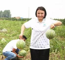 吃瓜群众组团是什么意思,揭秘网络围观背后的社会心理