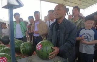 吃瓜群众内黄,吃瓜群众眼中的风云变幻