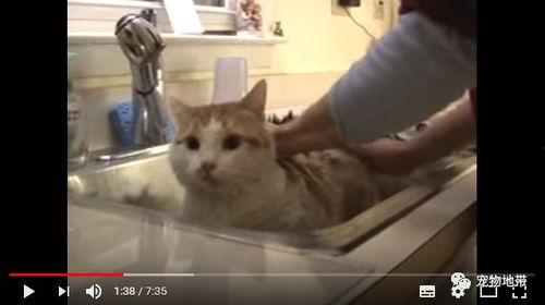 一句话吃瓜群众是什么意思