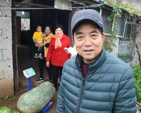 吃瓜群众黄市民,揭秘吃瓜群众的趣味生活