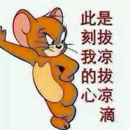 2017吃瓜群众图片,网络舆论场上的风云变幻