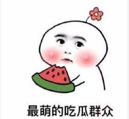 吃瓜群众的诗,品味人间烟火