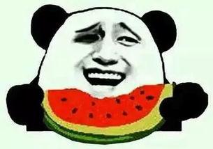 吃瓜群众女朋友,她背后的故事与魅力