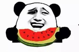 阿周吃瓜群众,揭秘娱乐圈幕后故事