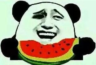 吃瓜群众挑瓜是真的吗视频,真实还是炒作？