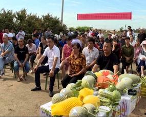 槐荫区吃瓜群众,揭秘社区生活百态