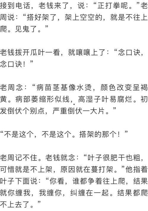 时间会证明一切吃瓜群众,吃瓜群众的智慧与真相