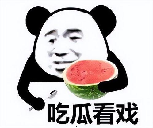 偷笑吃瓜群众笑哭了