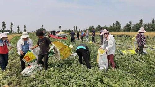 沂南吃瓜群众是谁啊,探寻网络红人的神秘面纱