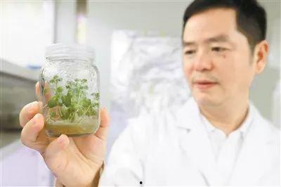 异常兴奋吃瓜群众